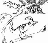 Dinosaur Pages Compsognathus Coelophysis Coloringpagesonly Coloring sketch template