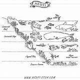 Zones Oceanic Educational sketch template