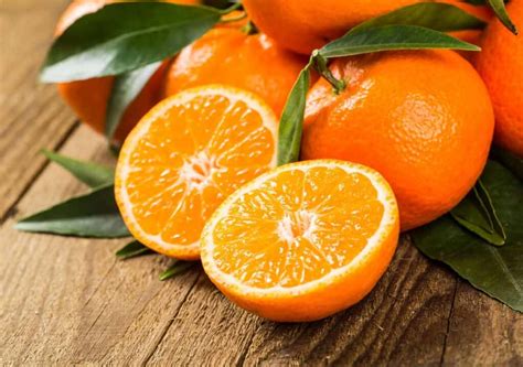 naranja conoce todo sobre esta fruta propiedades  beneficios cultivo  mas