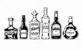Alcohol Bottles Vector Set Drink Tequila Bottle Stock Engraving Drawing Illustrations Vectors Royalty Illustration Liquor Clip Clipart Graphicriver Vodka Whiskey sketch template
