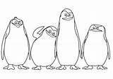 Madagascar Coloring Penguins Pages Printable Color sketch template