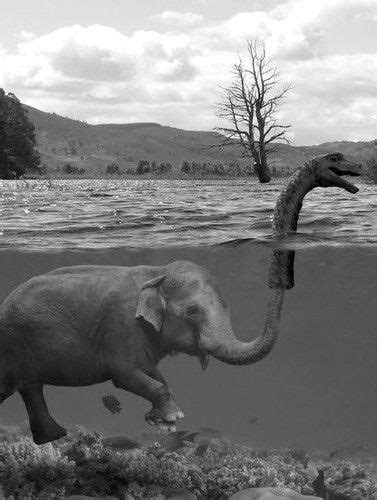 Loch Ness Monster Prank ~ Funny Joke Pictures