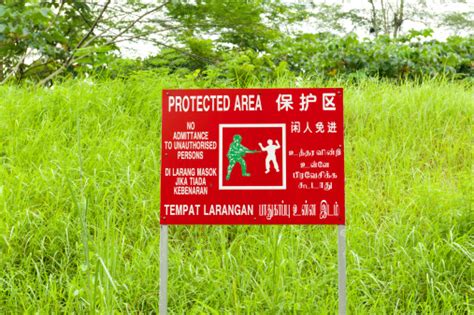 protected area stock photo  image  istock