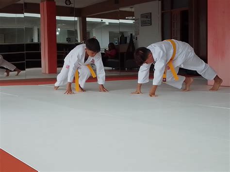 Aulas De Karate Infantil Sensei Roberto Nascimento Cotia Sp