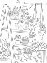 Succulents Mandala Dover Kolorowanki Adults sketch template