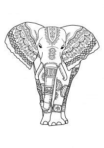 elephants  printable coloring pages  kids