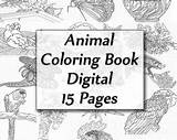 Coloring Animals Book sketch template