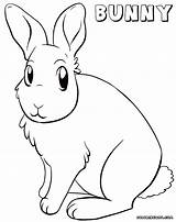 Bunny Coloring Pages Print Colorings sketch template