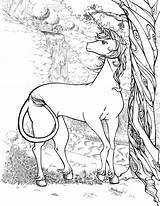 Coloring Unicorn Pages Adults Realistic Forest Dragon Printable Adult Popular Colouring Coloringhome sketch template