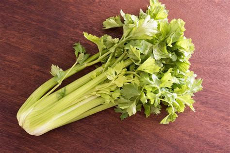celery seed  celery salt whats  difference daring kitchen