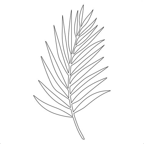 outline   palm leaf   white background