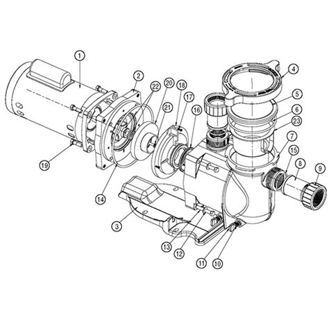 pool pump motor schematic