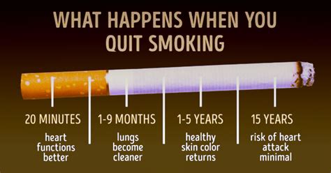 what happens to your body when you stop smoking trendfrenzy