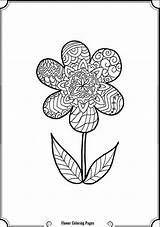 Coloring Flower Pages Intricate Popular Coloringhome sketch template