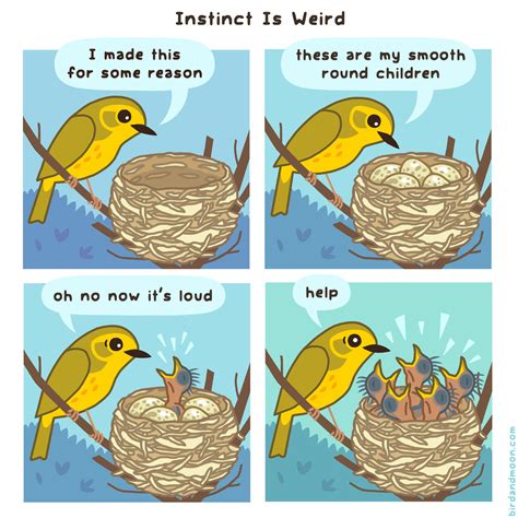 how to make a comic about birds audubon
