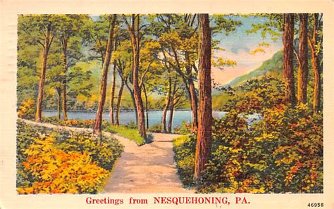 nesquehoning pennsylvania pa postcards oldpostcardscom