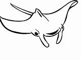 Manta Ray Coloring Pages Color Stingray Drawing Rays Animals Printable Drawings Logos Popular Getdrawings Designlooter sketch template