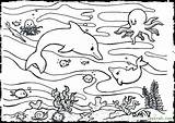 Ocean Coloring Pages Sea Creatures Printable Kids Outdoor Waves Scene Deep Adults Life Color Sheets Getcolorings Getdrawings Colorings Print Coloriage sketch template