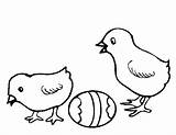 Chick Baby Coloring Chicks Pages Drawing Getdrawings Getcolorings sketch template