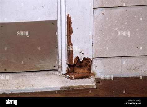 broken door frame stock  broken door frame stock images alamy