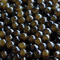 caviar calories calg  nutrition facts calorie
