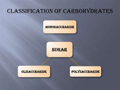 carbohydrates and their metabolism digestion of carbohydrates online