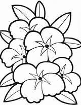 Coloring Pages Flower Printable Simple Cute Choose Board Sheets sketch template