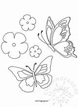 Flower Butterfly Coloring Spring sketch template