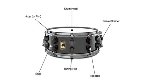 drum set labeled diagram video bokep ngentot