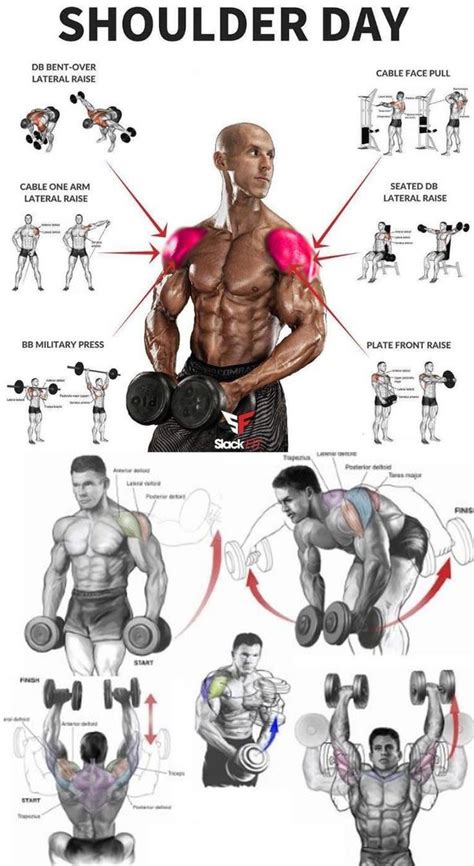 what are some good exercises for getting wider shoulders