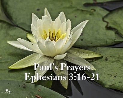 pauls prayers ephesians