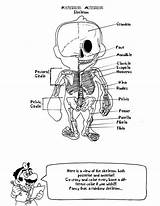 Anatomy Coloring Mario Pages Kids Book Doctor Printable Deviantart Getcolorings sketch template