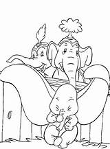 Dumbo Stampare Elefanti Libri Dipinti sketch template