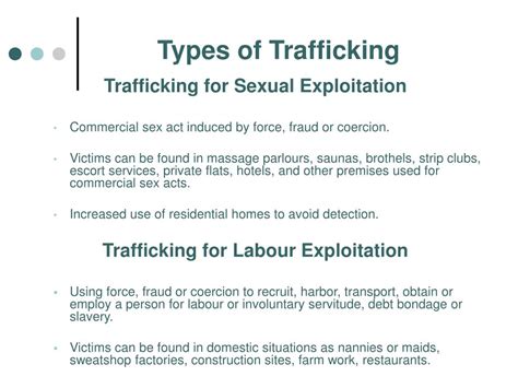 Ppt Identifying And Supporting Trafficked Persons Powerpoint