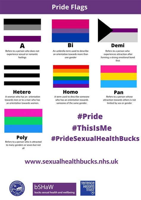 Gay Pride Flags And Meanings