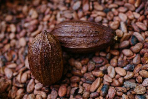 top cocoa producing countries worldatlas