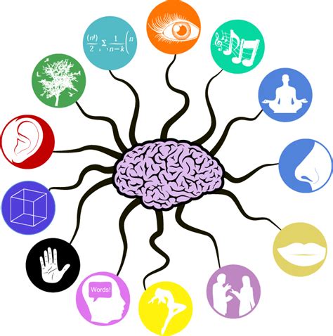 neuroplasticity primer and update neuroplasticity brain learning