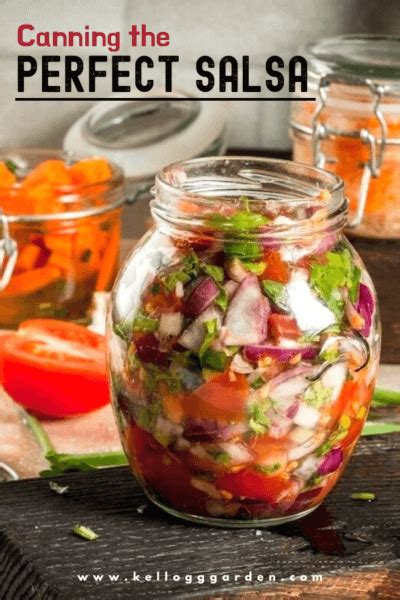 tips  canning  perfect salsa kellogg garden products