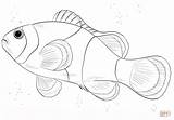Coloring Fish Clown Pages Drawing Printable Paper sketch template