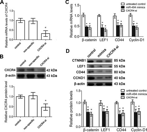 mir 494 suppresses the progression of breast cancer in vitro by