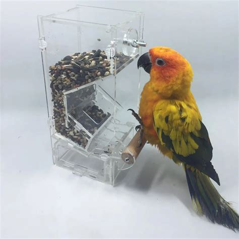 buy parrot bird automatic feeders  perch bird food container bird food