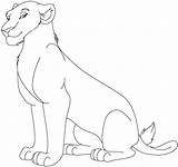 Lioness Procoloring Popular sketch template