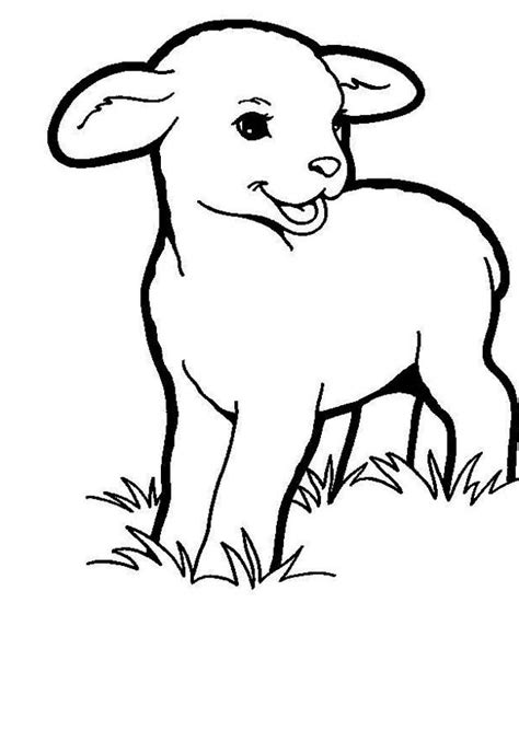 baby lamb eating grass coloring page coloring sky