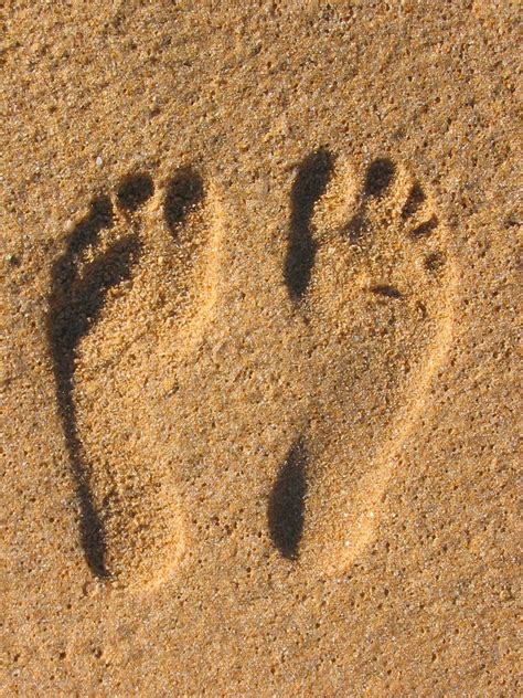 sand footprint stock photo freeimagescom