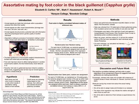 poster examples    design  research poster libguides