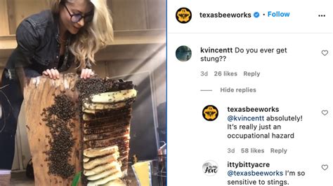 texas beekeeper shows in viral video how she rescues bees the kansas