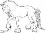 Draft Shire Friesian Lineart Stallion Clydesdale Percheron Succubus Detailed sketch template