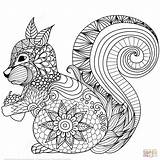 Zentangle Squirrel sketch template