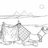 Coloring Pyramid Camel Three Drawing Great sketch template