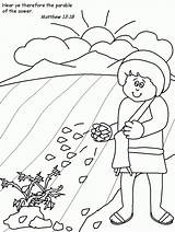 Parable Seminatore Sembrador Sower Parables Ariel Denies Mustard Parabola Dominical Religión Departamento Coloringhome Preschool sketch template